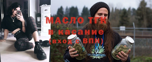 трава Гусиноозёрск