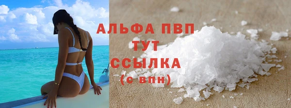 трава Гусиноозёрск