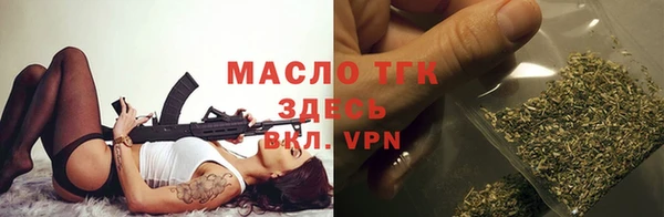 трава Гусиноозёрск