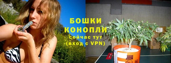 трава Гусиноозёрск