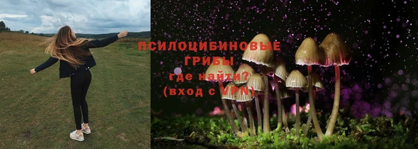 меф Гусев