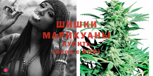 трава Гусиноозёрск